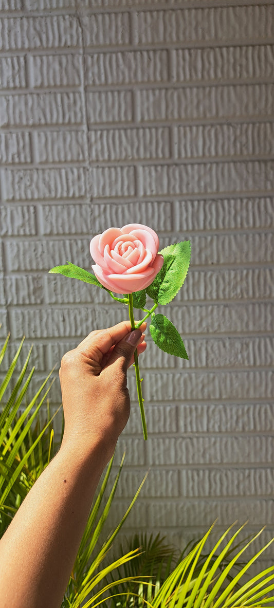 Rosa con tallo - Saku